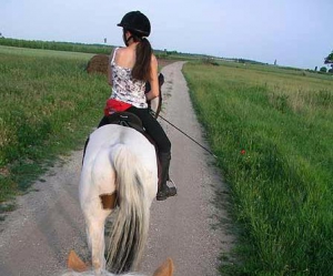 Montar en Burgenland (Montar a caballo al campo) © 