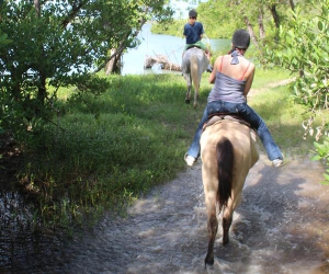Montar en Holguín (Montar a caballo al campo) © 