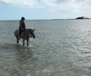 Montar en Bahamas (Montar a caballo al campo) © 